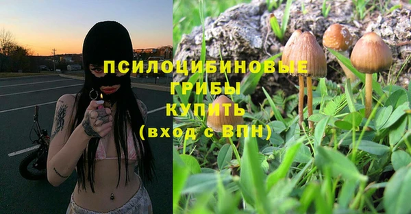 ГАЛЛЮЦИНОГЕННЫЕ ГРИБЫ Белоозёрский