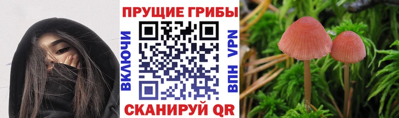 Галлюциногенные грибы Magic Shrooms  даркнет формула  Бузулук 